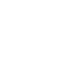 AO Shuttle Bus